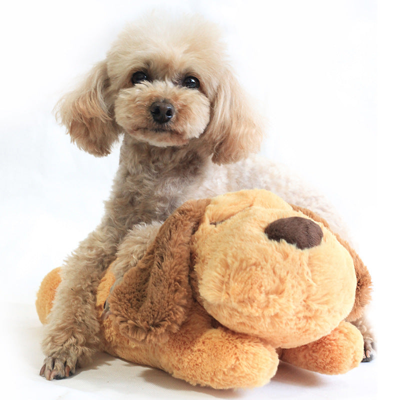 Puppy sleeping on a plush toy
