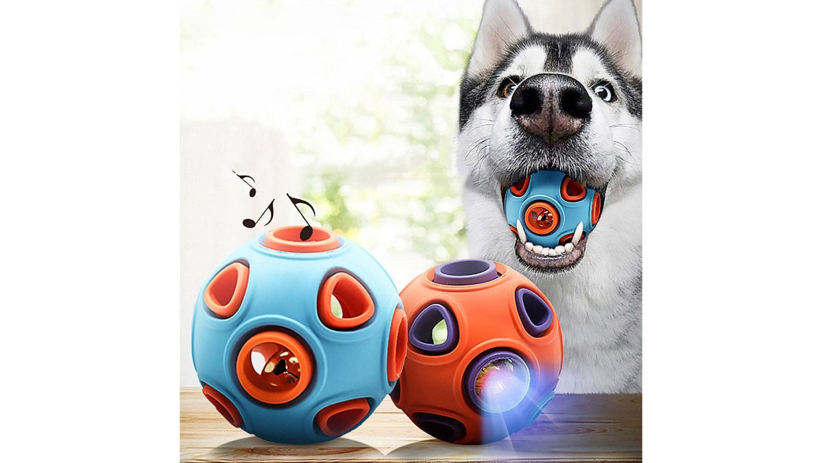 Are Expensive Dog Toys Worth It? A Cost-Per-Use Guide