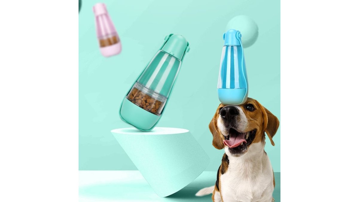 Durable Dog Gear for Travel: 7 Essentials That Last