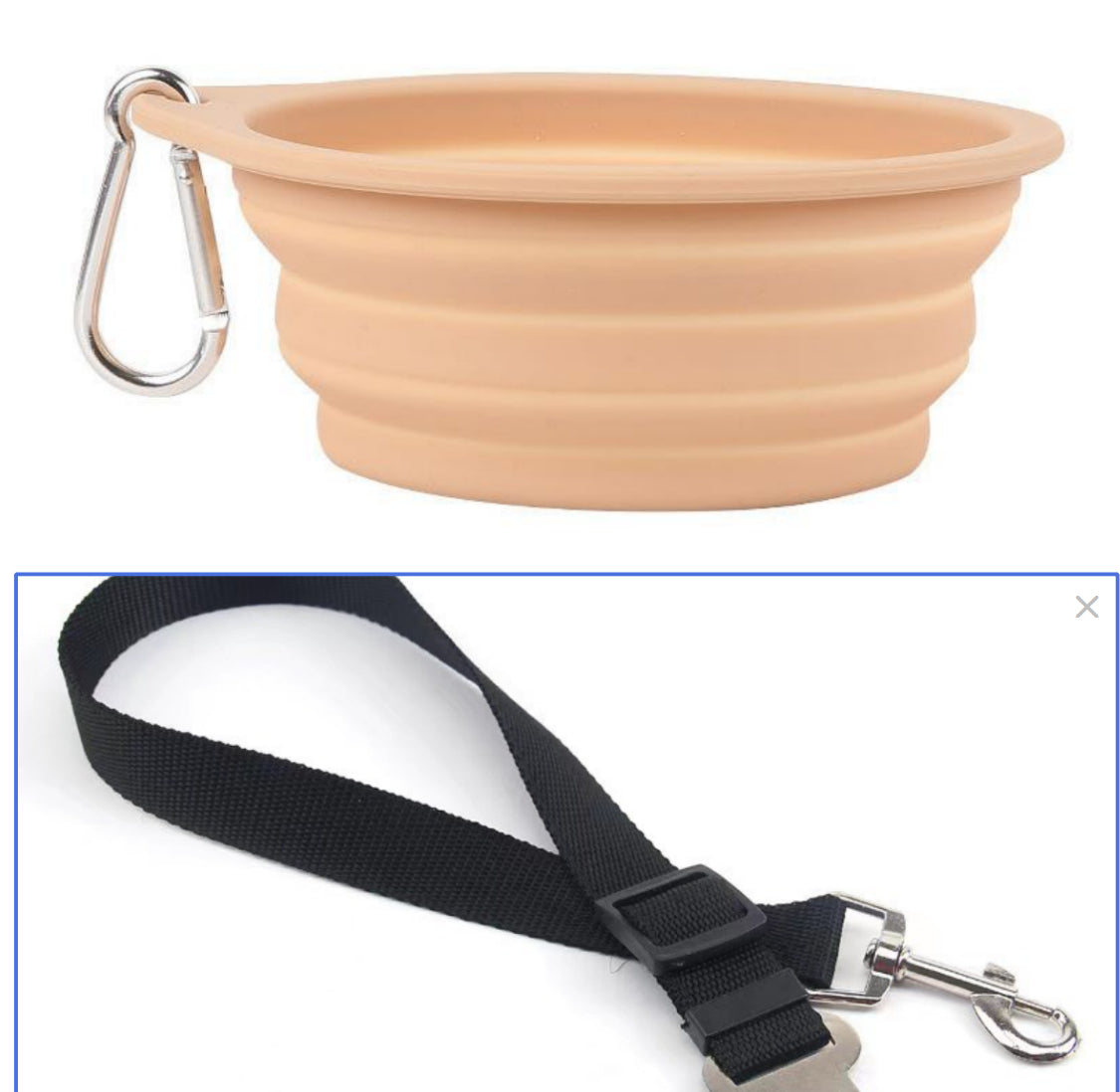 Collapsible Travel Dog Bowl
