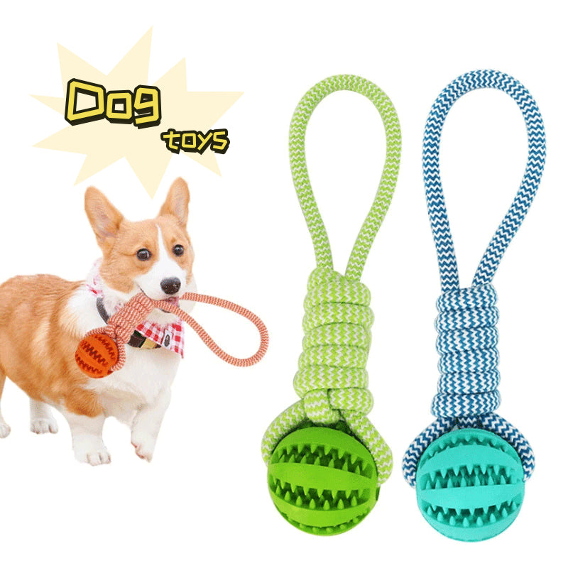 Treat & Rope Dog Chew Toy