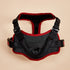 No-Pull Dog Harness