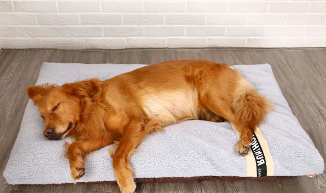 Plush Pet Bed for Dogs and Cats