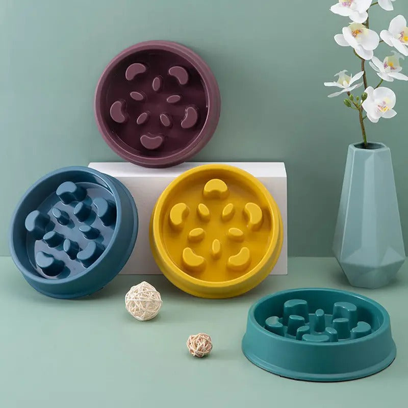 Slow Feed Dog Puzzle Bowl
