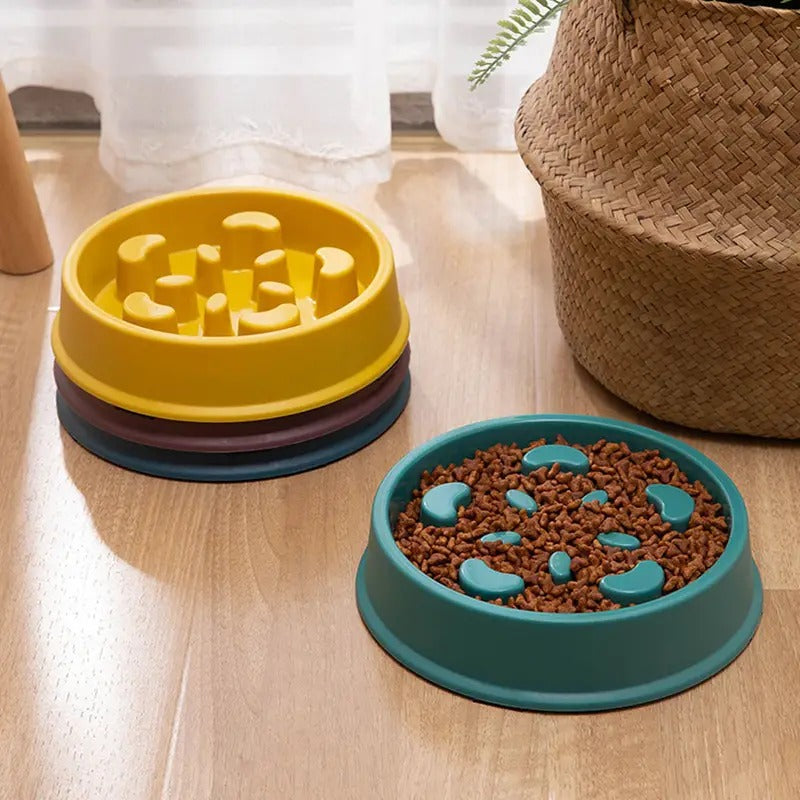 Slow Feed Dog Puzzle Bowl