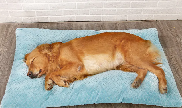 Plush Pet Bed for Dogs and Cats