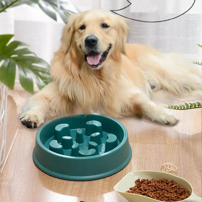 Petal Slow Feeder Dog Bowl - Anti-Gulp Maze Bowl