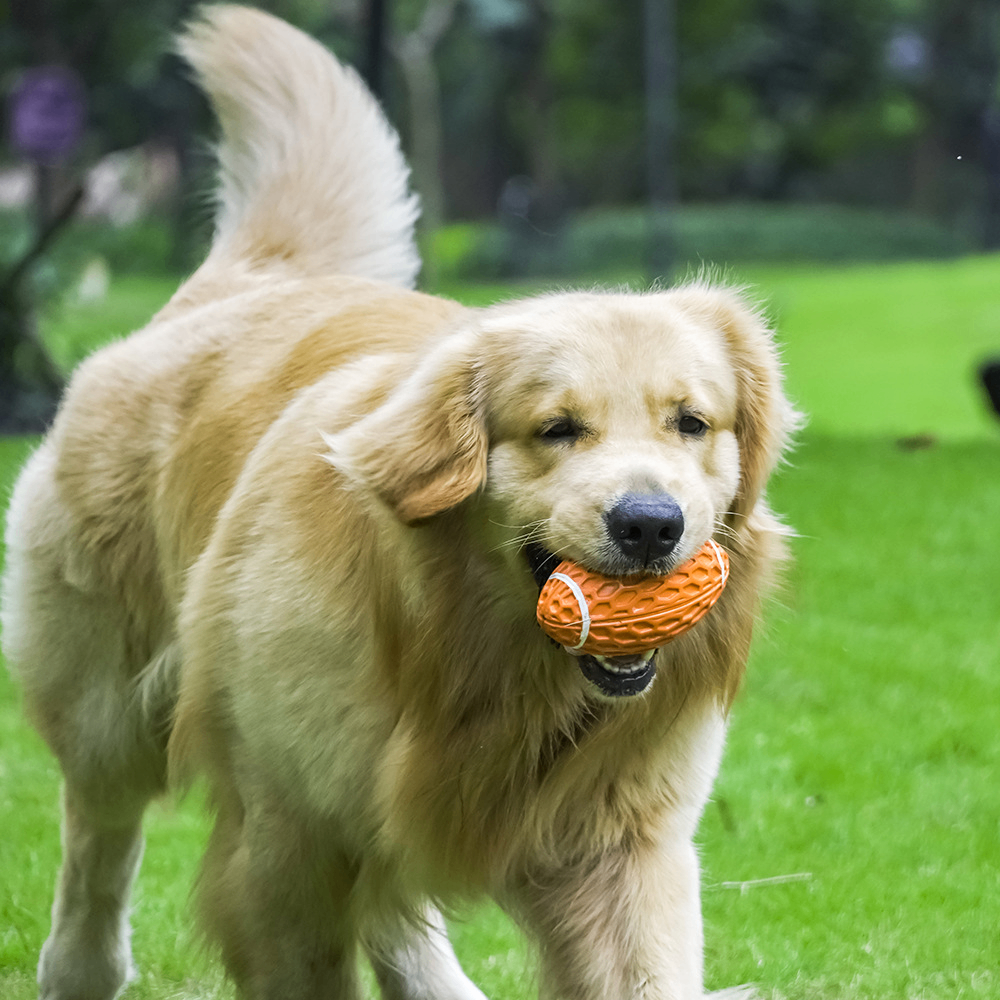 Durable Dog Chew Toy for Boredom Relief