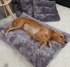 Plush Pet Bed for Dogs and Cats