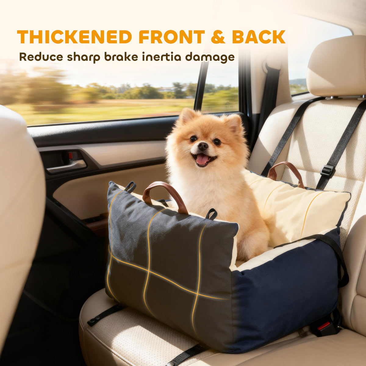 Small dog sitting comfortably in a padded car seat with safety straps on a vehicle back seat.