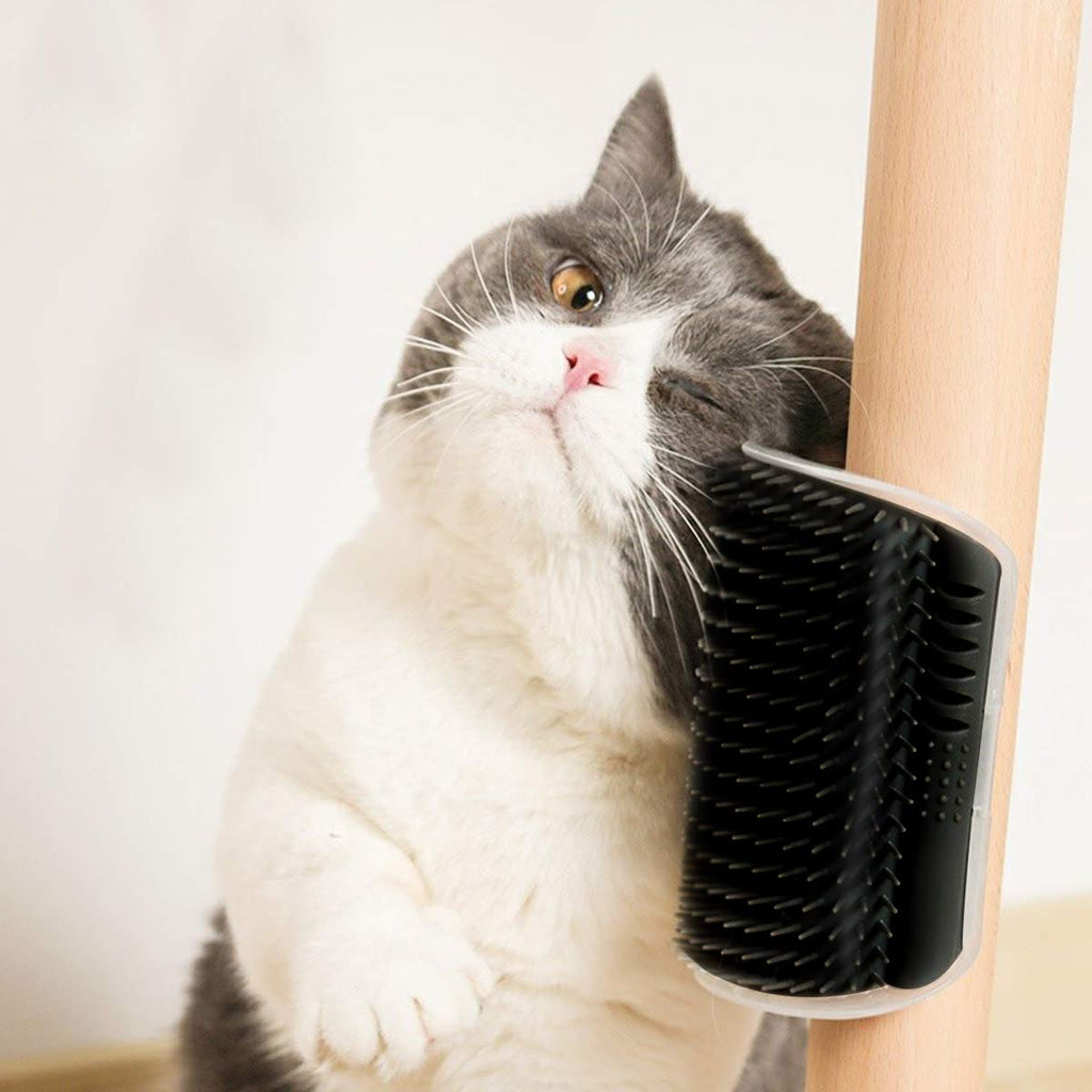 Cat Self-Groomer Arch - Easy Snap Out Removable Bristle Pad Cleaning Feature