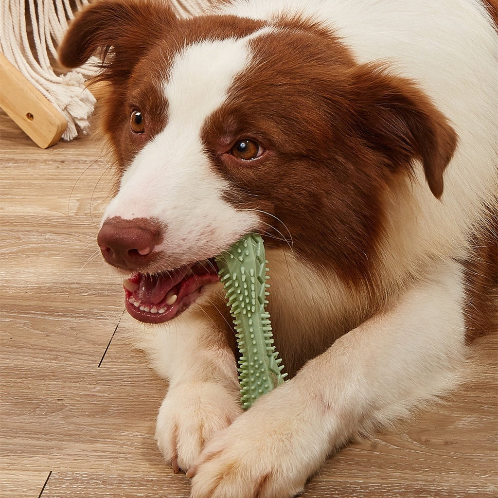 Dog Dental Chew Toy