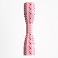 Dog Toothbrush Chew Toy