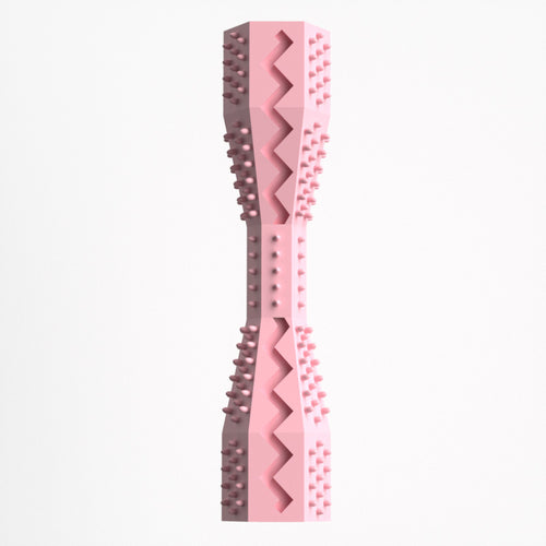 Dog Toothbrush Chew Toy