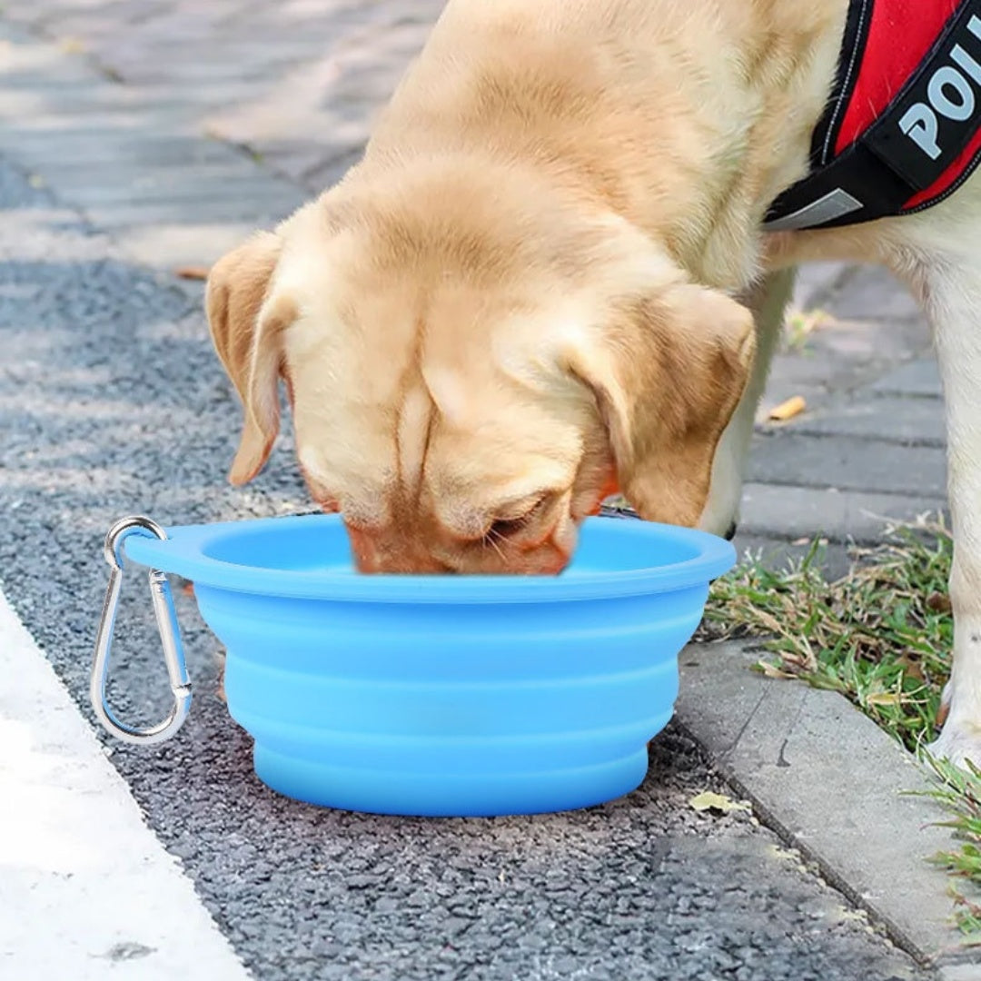 Collapsible travel dog bowl foldable silicone feeding dish