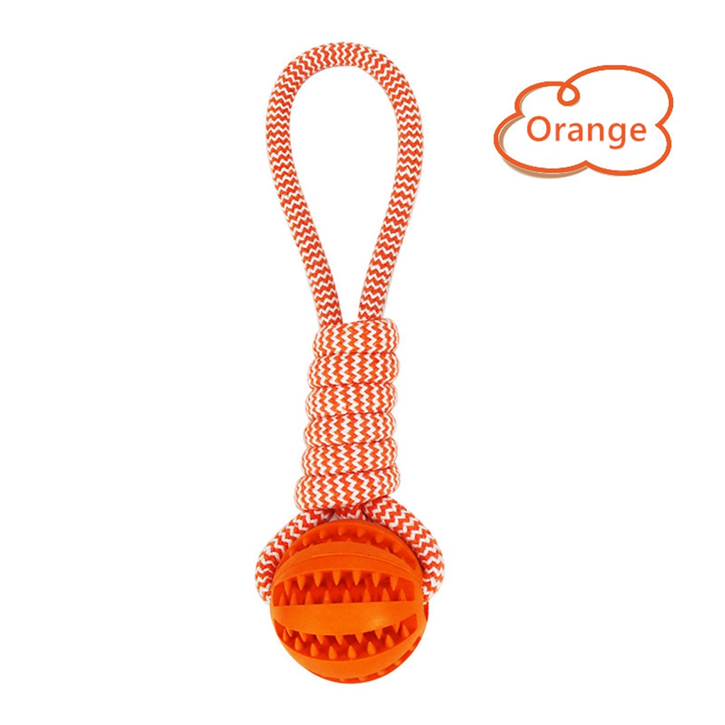 Treat & Rope Dog Chew Toy