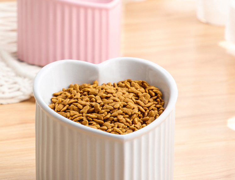 Ceramic Pet Bowl with Slanted Design for cats front view