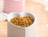Ceramic Pet Bowl with Slanted Design for cats front view