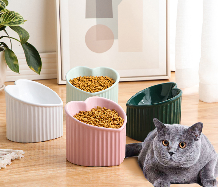 Ceramic Pet Bowl with Slanted Design white and green color options