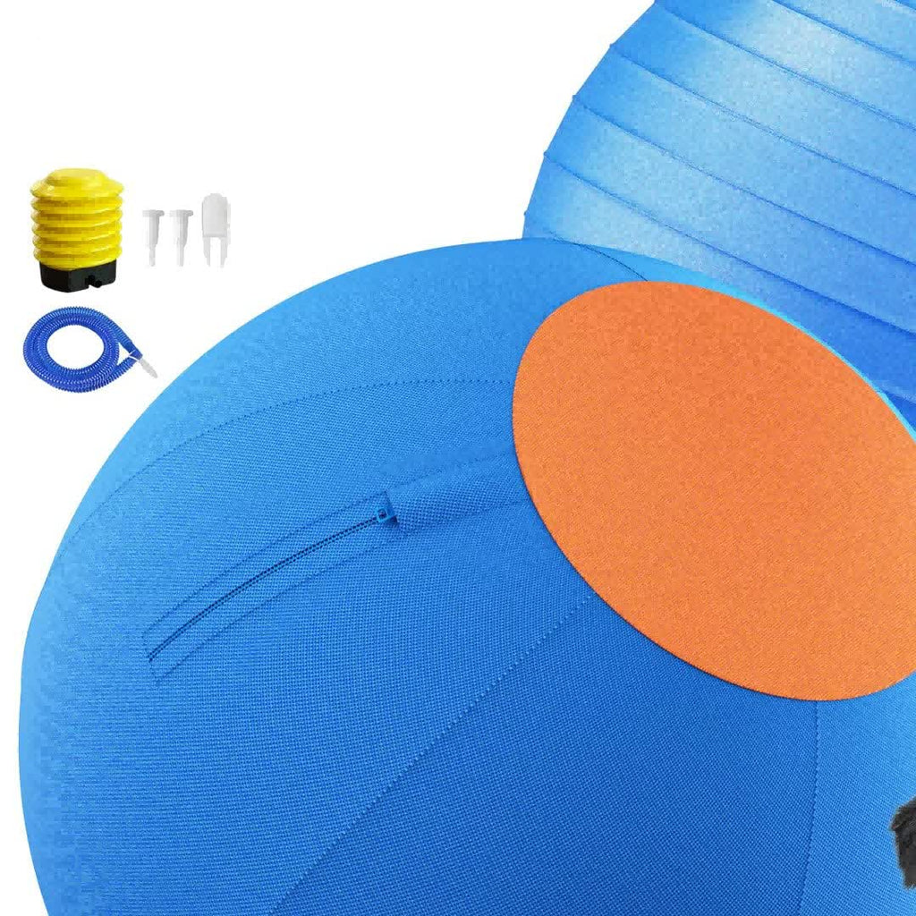 The OG Herding Ball with pump and accessories